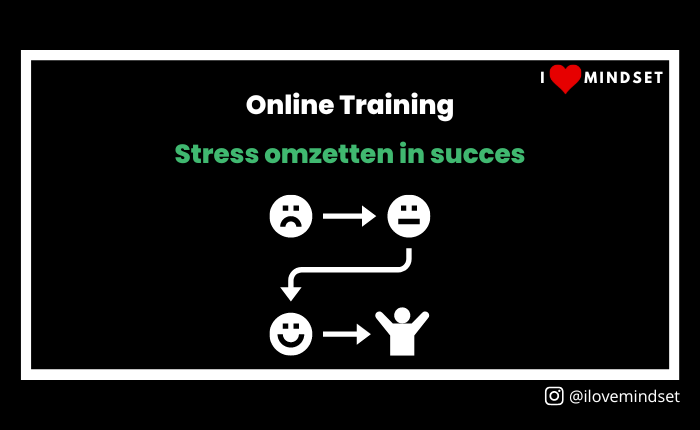 Online training- Stress omzetten in succes (coming soon!)
